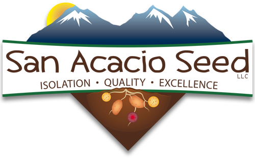 San Acacio Seed: Isolation - Quality - Excellence